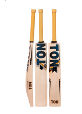 TON GUTSY CRICKET BAT EW